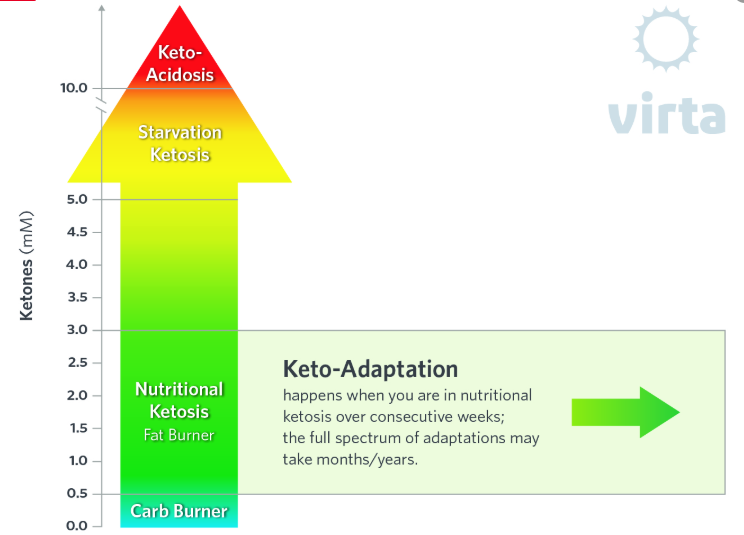 Optimal Ketosis Chart